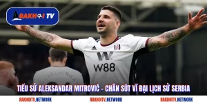 Tiểu Sử Aleksandar Mitrović - Chân Sút Vĩ Đại Lịch Sử Serbia